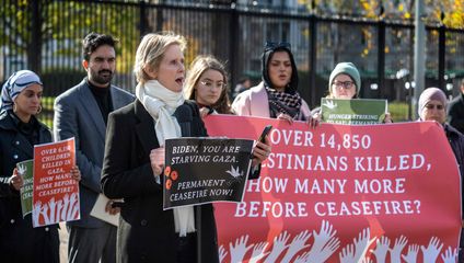 Activists including actor Cynthia Nixon calling for permanent Gaza truce begin hunger strike